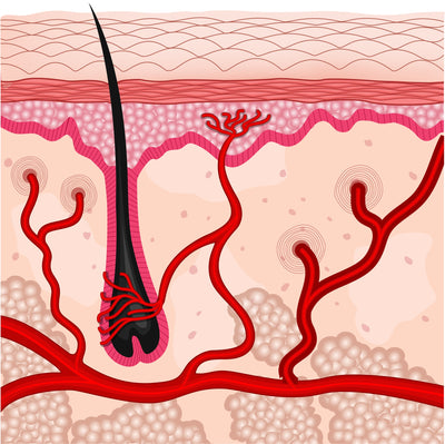 Blood flow = Hair growth.