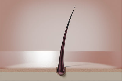 3 Reasons Why Your Hair Follicles Are Not Producing Healthy Hair