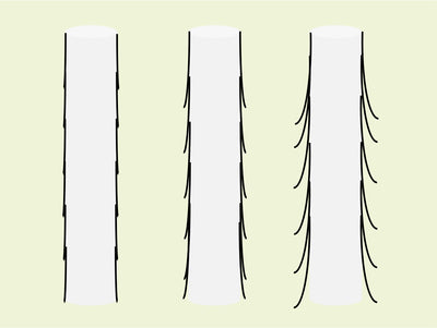 Here is how to personalize your hair care regimen